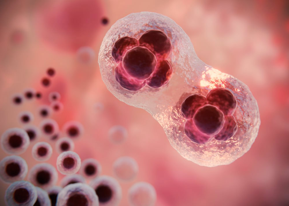 Экзосомы REJUSOME – омоложение кожи на клеточном уровне 2 Экзосомы REJUSOME – омоложение кожи на клеточном уровне - Фото 1