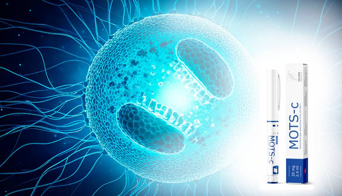 Що таке MOTS-c і як він працює: механізм дії на клітинному рівні