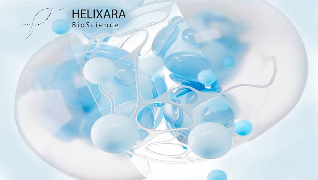 Що таке MOTS-c і як він працює: механізм дії на клітинному рівні - Фото 1